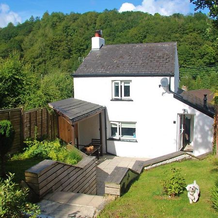 Peacock Cottage Cinderford Kültér fotó