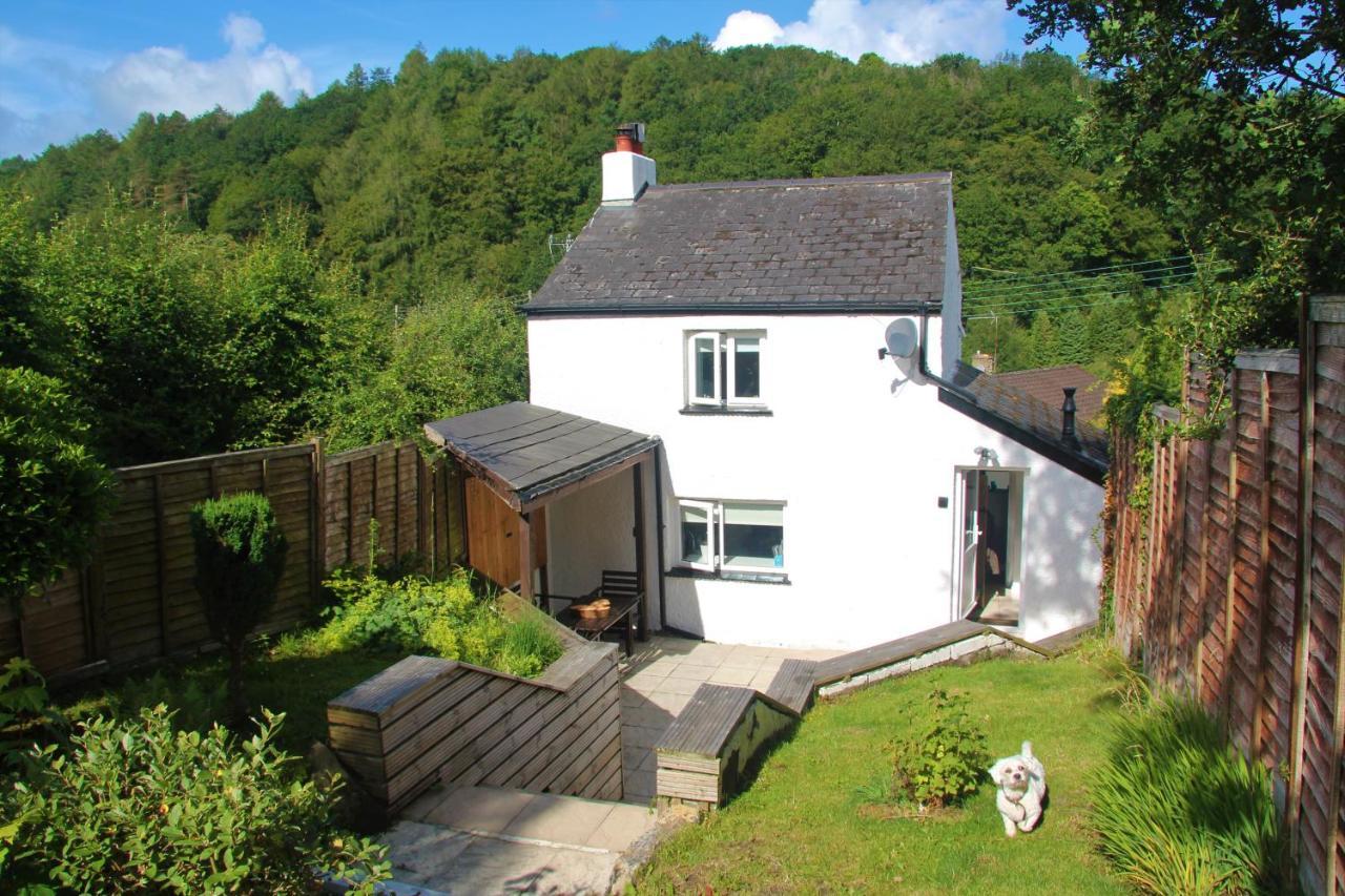 Peacock Cottage Cinderford Kültér fotó